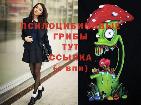 не бодяженный Верхний Тагил