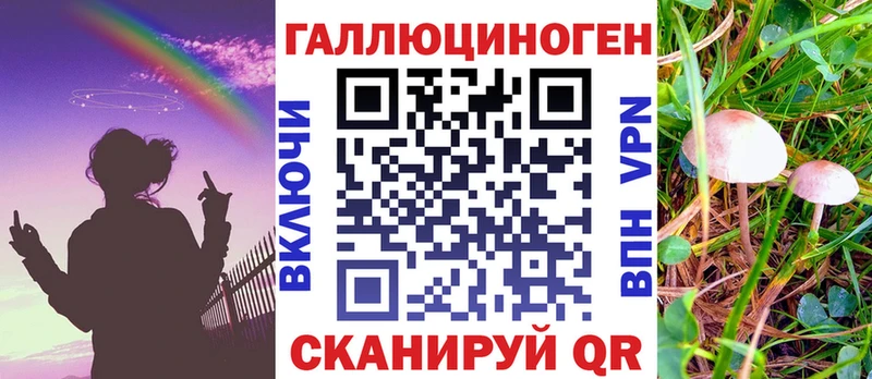 Купить где  Чекалин  Псилоцибиновые грибы прущие грибы 