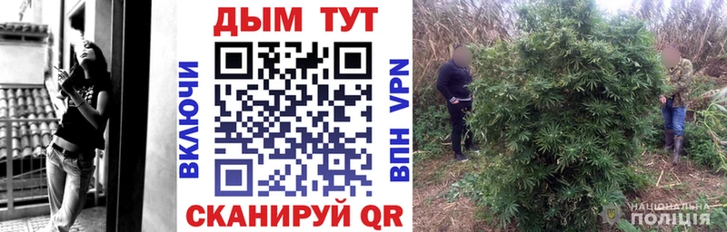 Купить где  Чекалин  Конопля план 